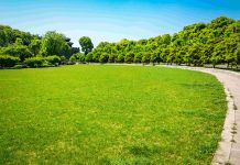 Câmara aprova programa que substitui gramas de crescimento acelerado por espécies nativas